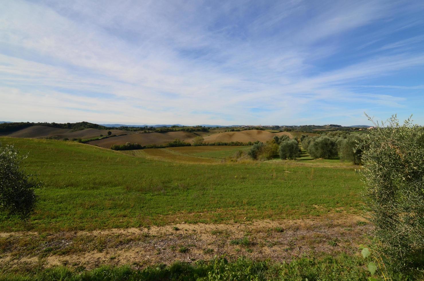 Gorgeous View of the Tuscan Countryside photo