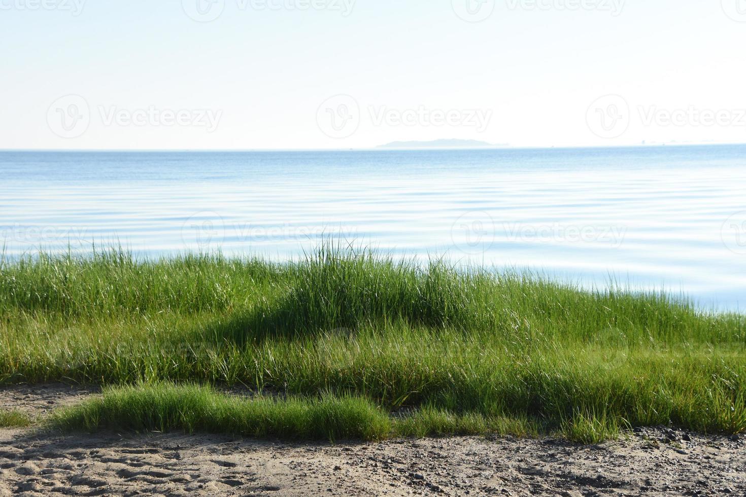 Shoreline with Beach and Beach Grasses in Plymouth photo