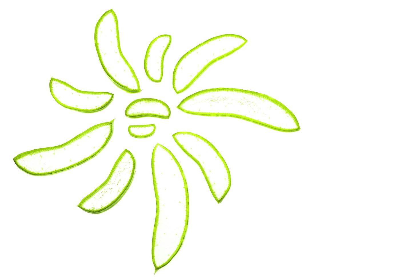 Fresh sliced aloe vera in arrange in flower shape isolated over white. photo