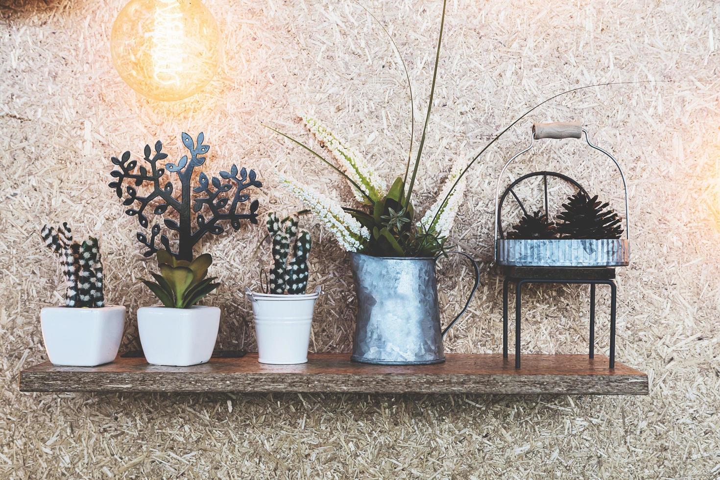 Small decorated plant and pine cone on wooden shelves over wood pulp board background with warm light bulb photo