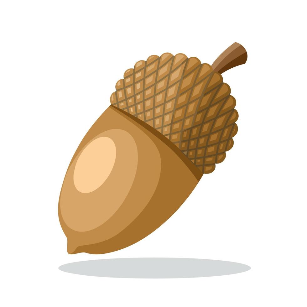 icono plano de bellotas, nueces y alimentos, aislado en fondo blanco, ilustración vectorial. vector