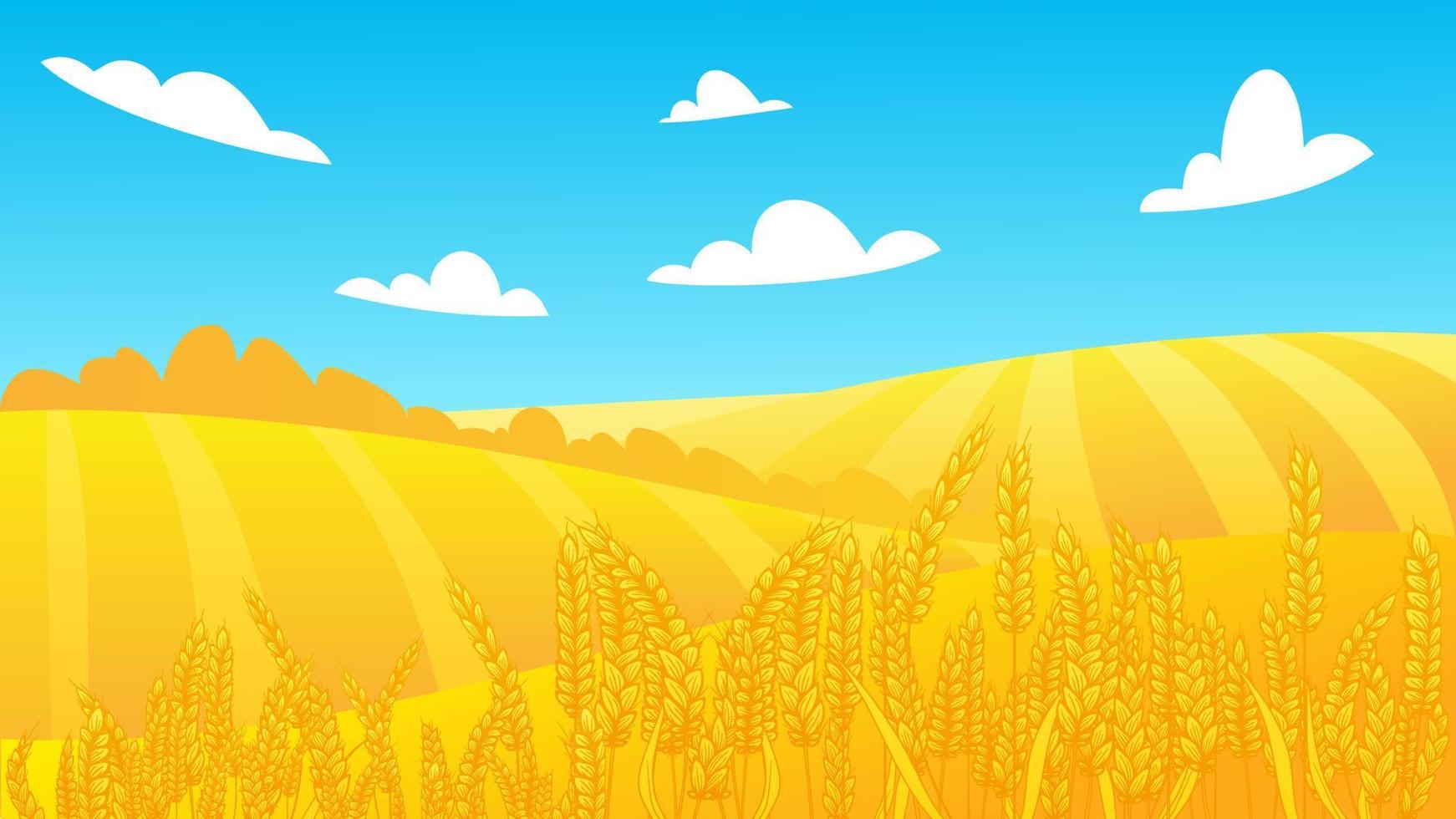 Rural summer landscape with a field of ripe wheat on the hills and valleys in the background. Vector illustration with golden grain fields. Farm autumn harvest. Ukraine flag