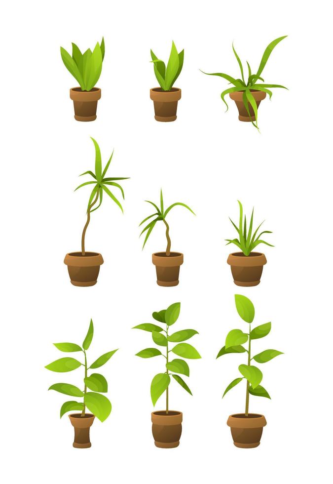 House plants in pots, office flowers, cartoon tropic leaves. Green icon set of palm tree, philodendron, ficus, sansevieria, succulent. Garden plant vector illustration.
