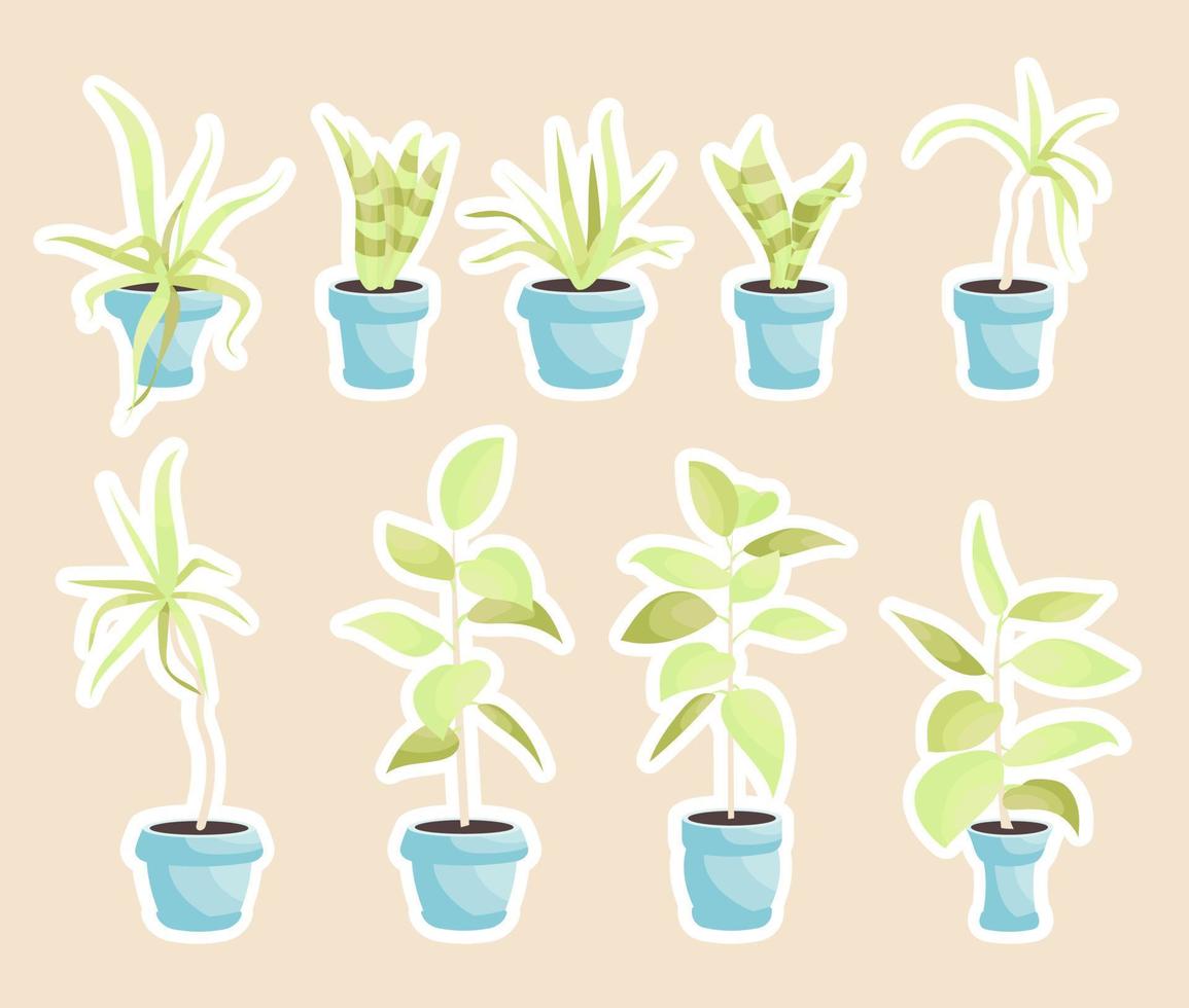 plantas de interior en macetas, flores de oficina lindo paquete de pegatinas, hojas tropicales de dibujos animados. conjunto de iconos verdes de palmera, filodendro, ficus, sansevieria, suculento. ilustración de vector de planta de jardín.