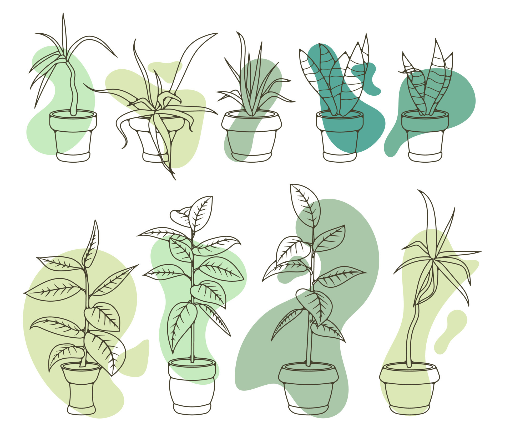House plants in pots, office flowers, cartoon tropic leaves. Green