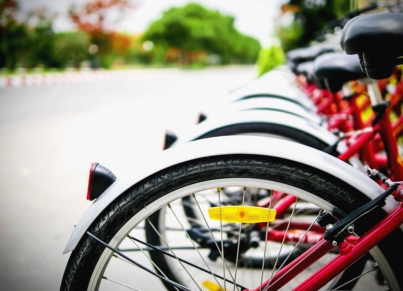 Bicycle rentals wheel in a row near to the road photo