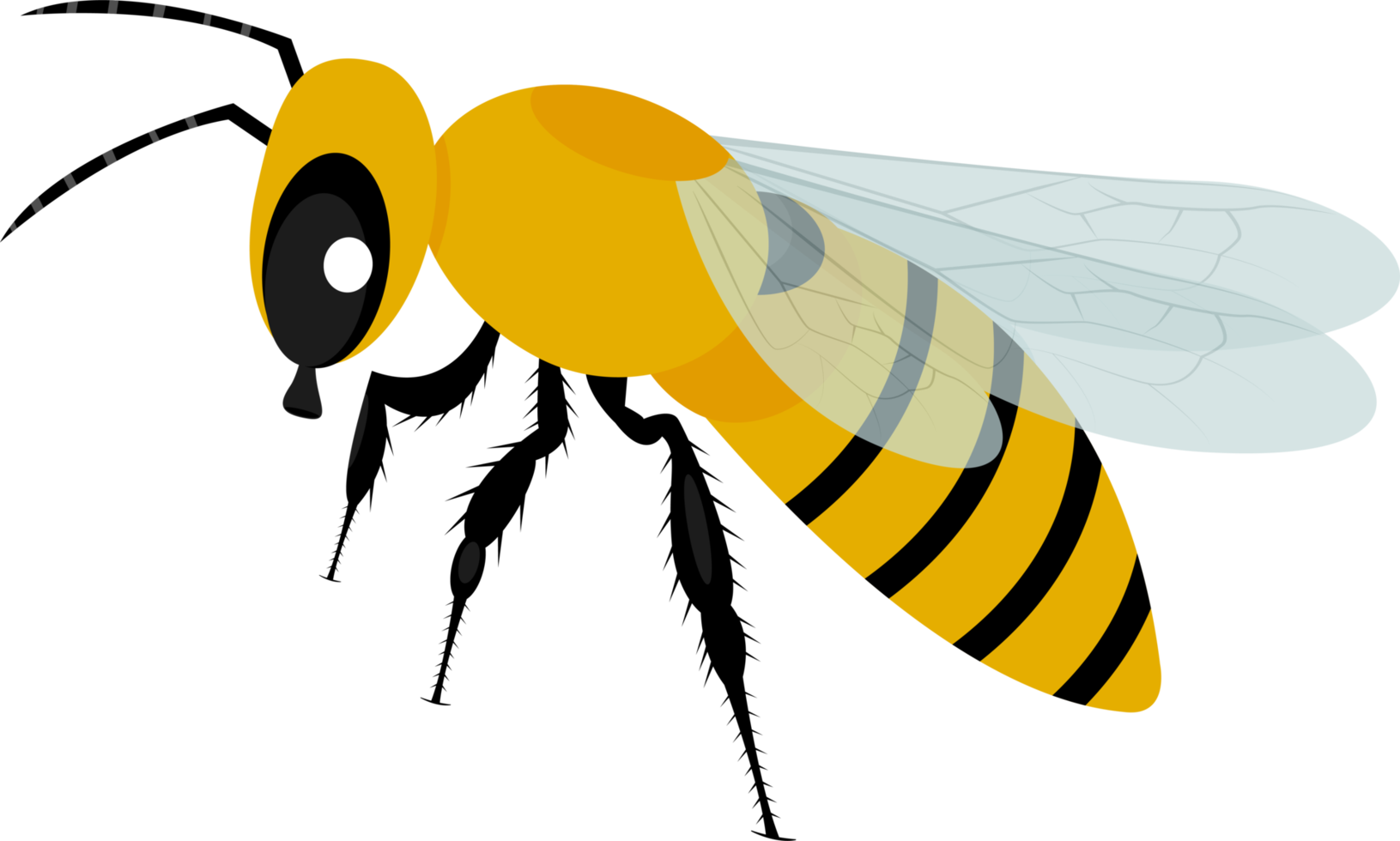 Bee tree hive clipart design illustration png