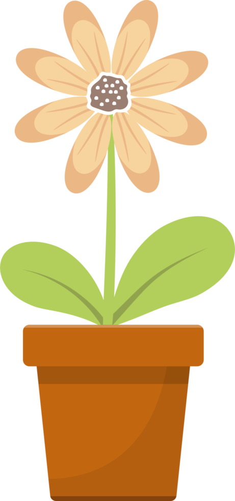 Flower in pot clipart design illustration png