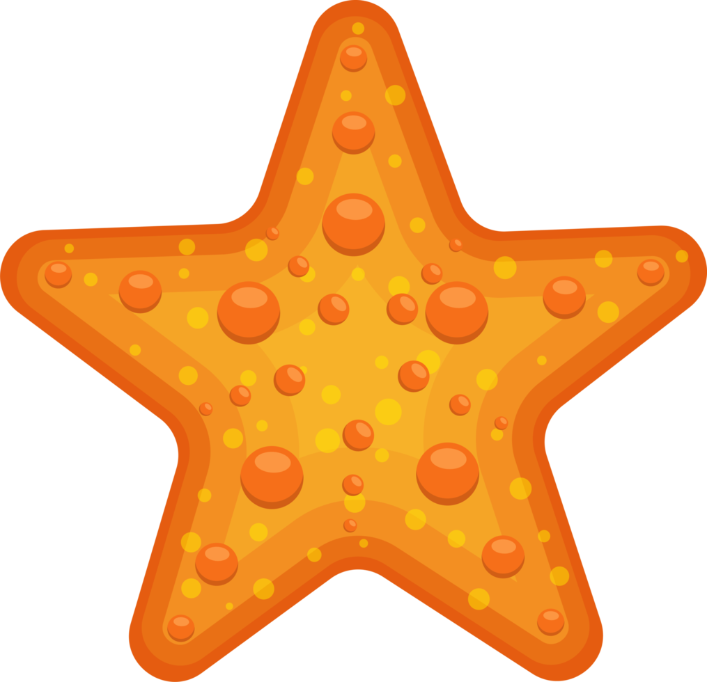 illustrazione di progettazione di clipart di stelle marine di mare png