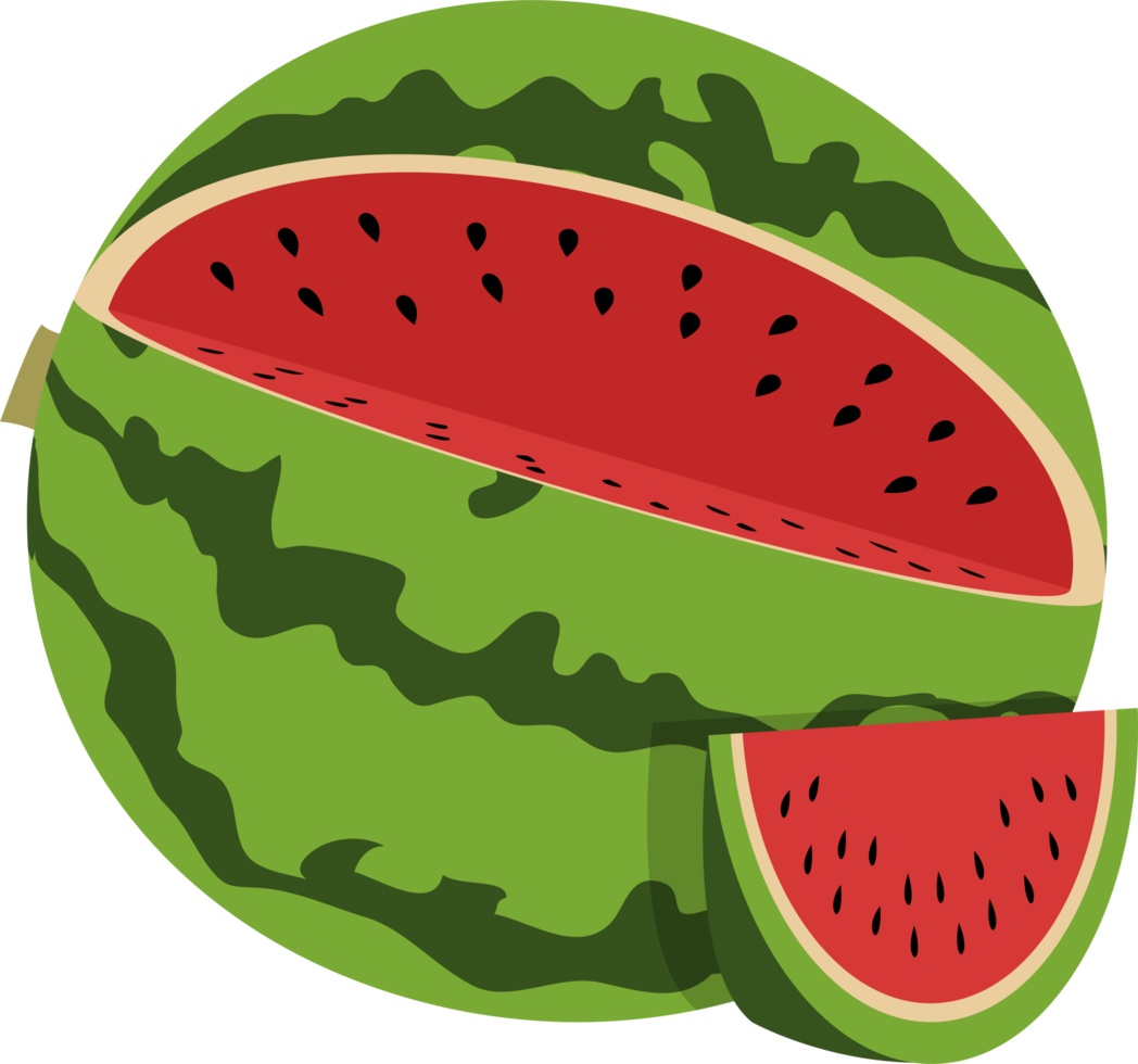 watermeloen fruit clipart ontwerp illustratie png