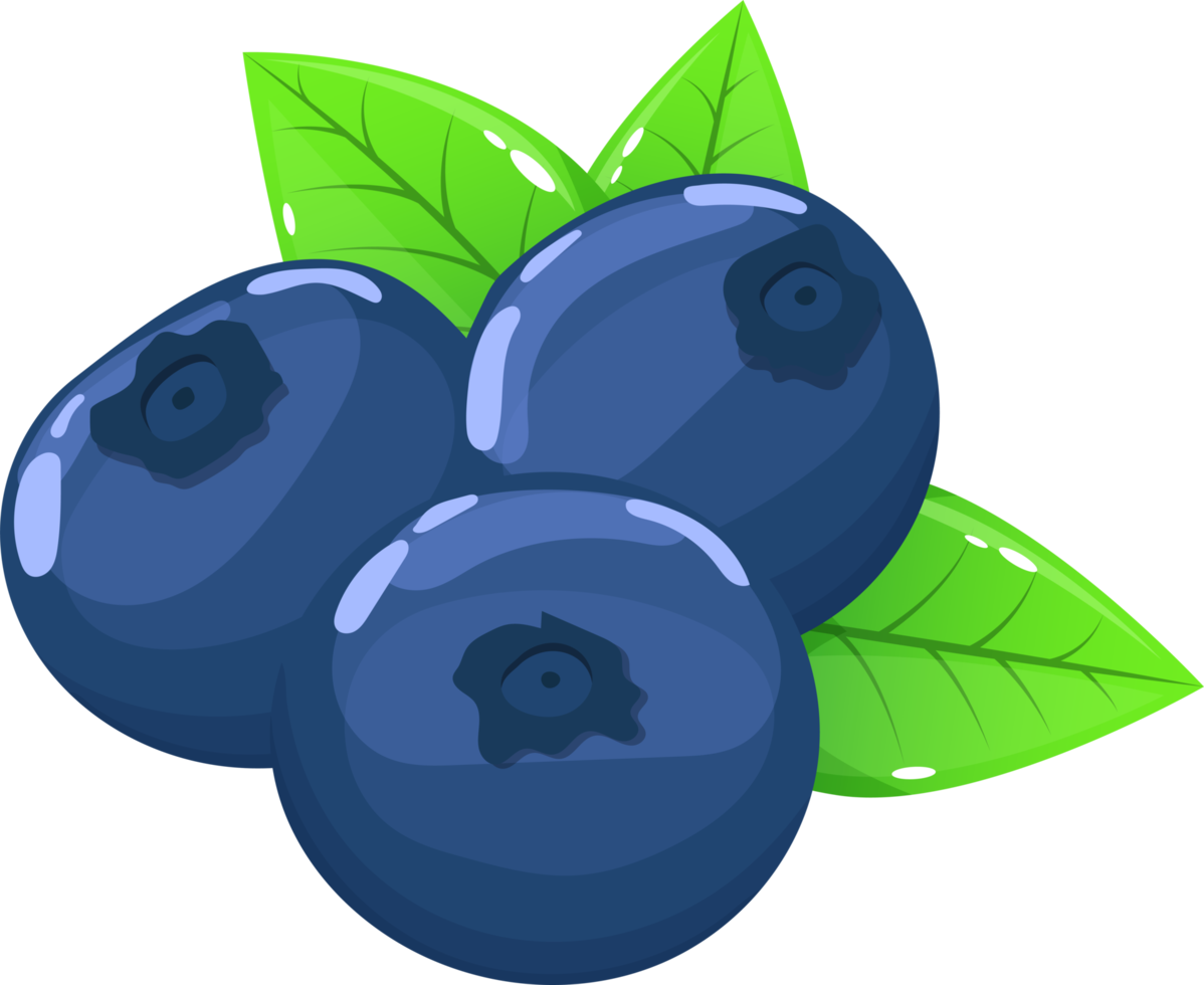 Blueberry clipart design illustration png