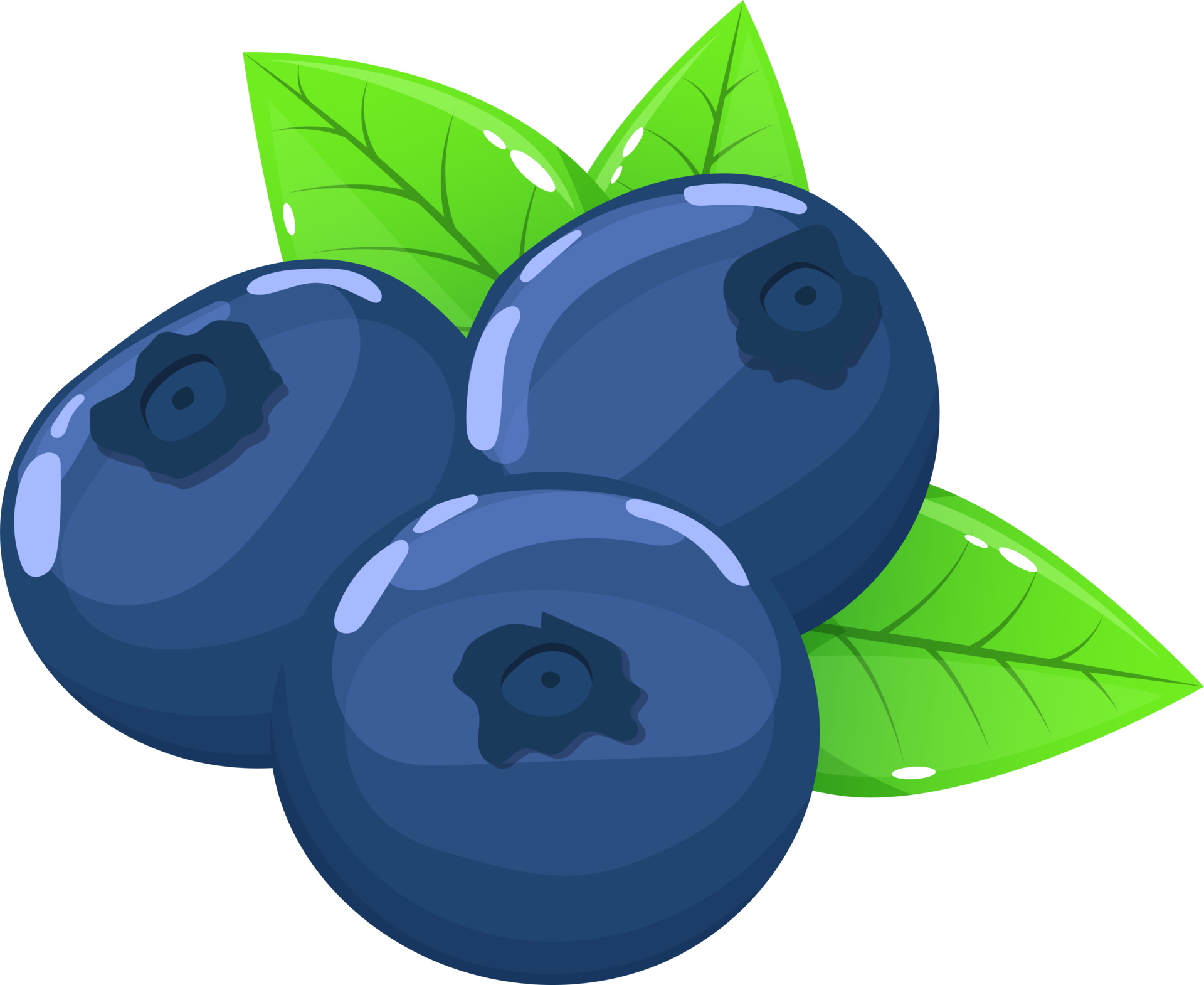 Blueberry Pngs For Free Download