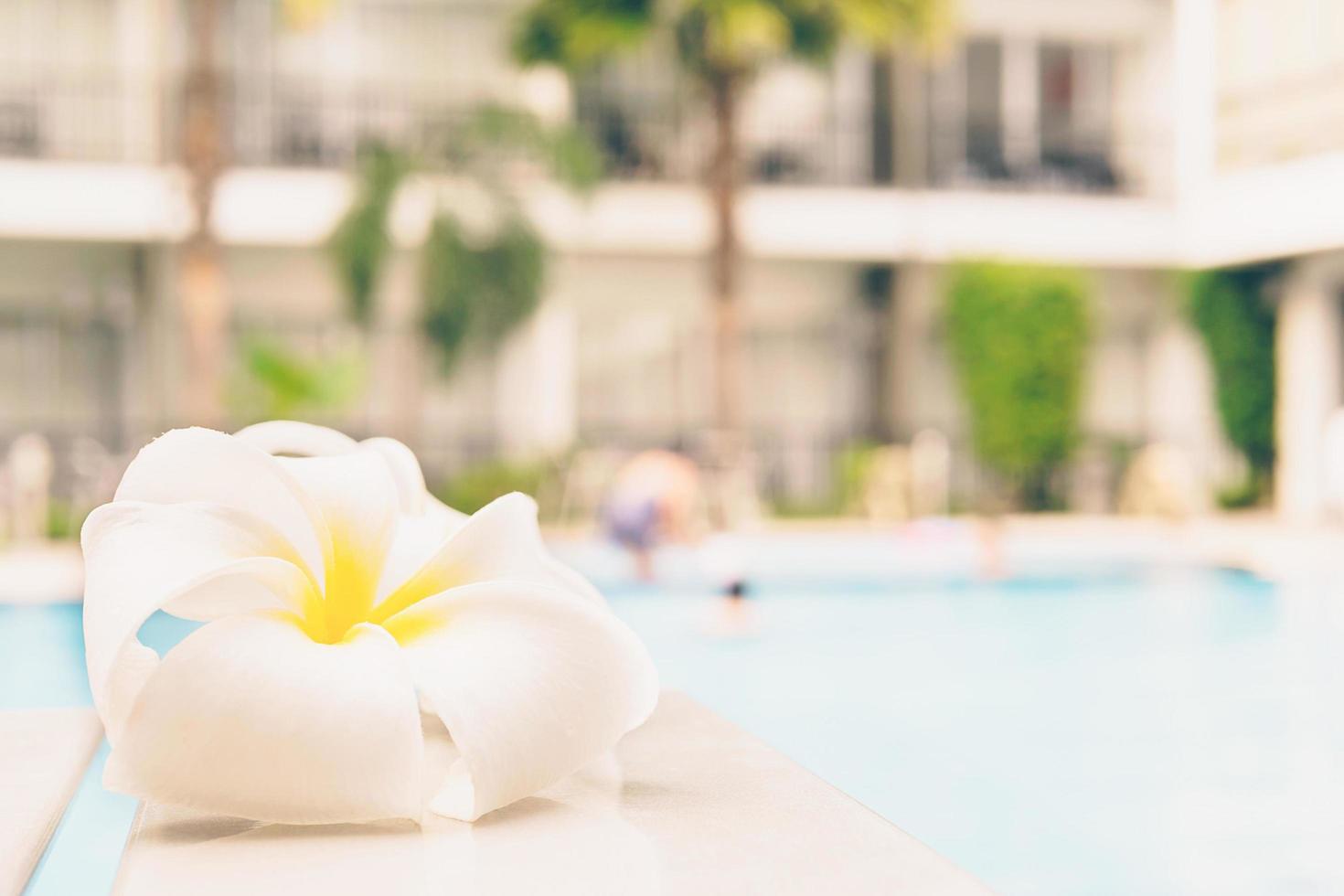 Vintage style photo is white plumeria with water pool background