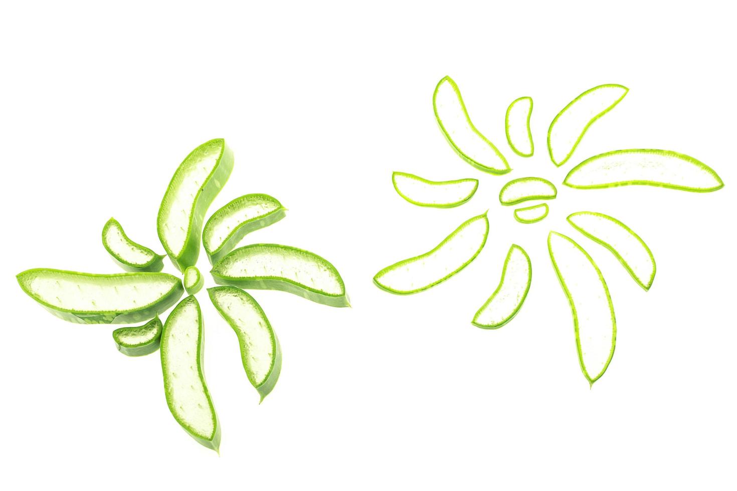 Fresh sliced aloe vera in arrange in flower shape isolated over white. photo