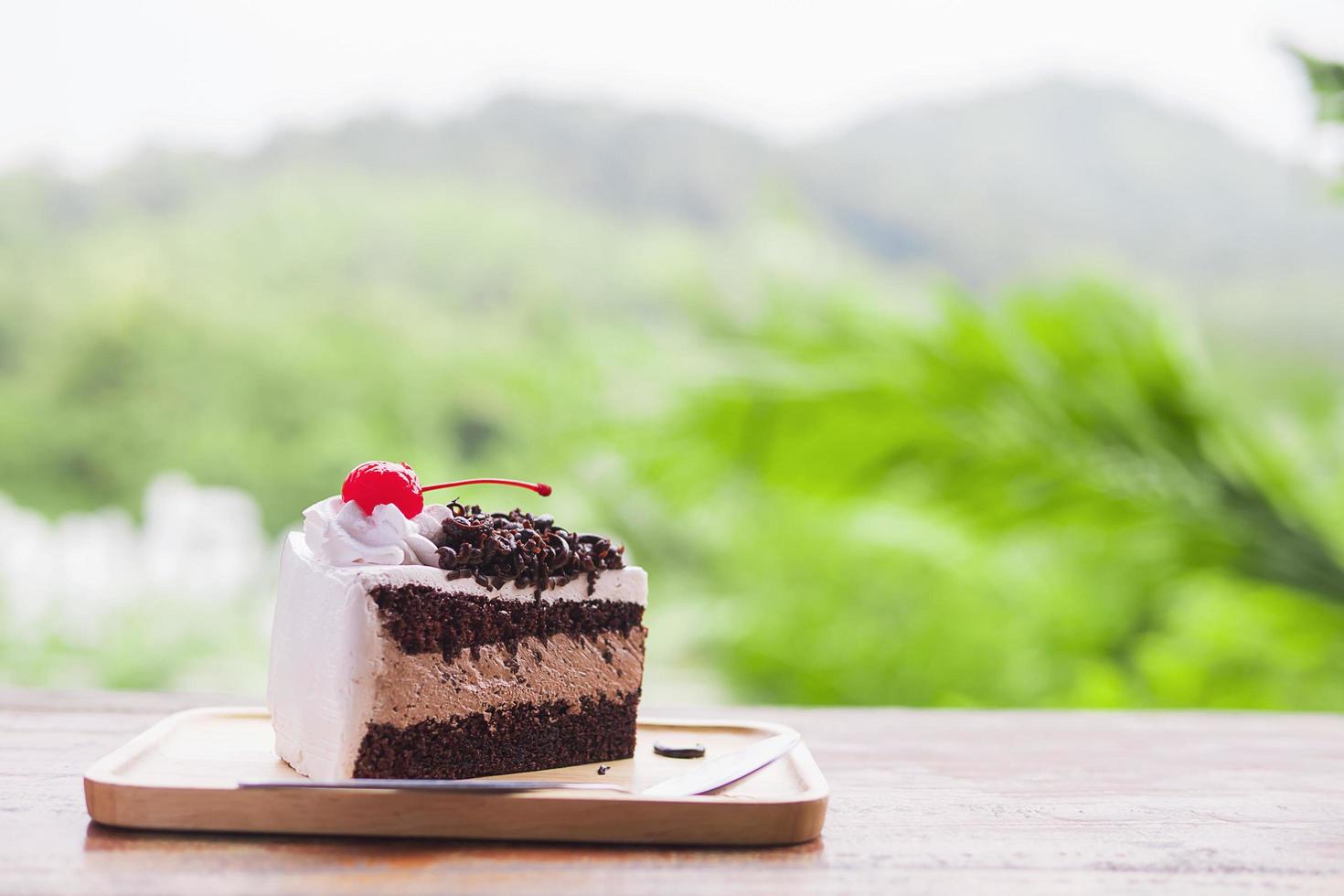 Chocolate cake with soft focused mountain nature background photo