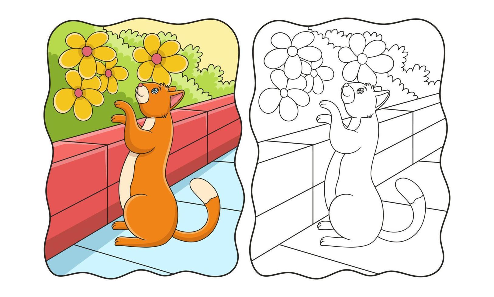 cartoon illustration The cat stands looking and touching the flower behind the high wall book or page for kids vector