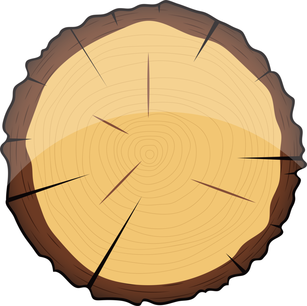 dwarsdoorsnede van houten boom clipart ontwerp illustratie png