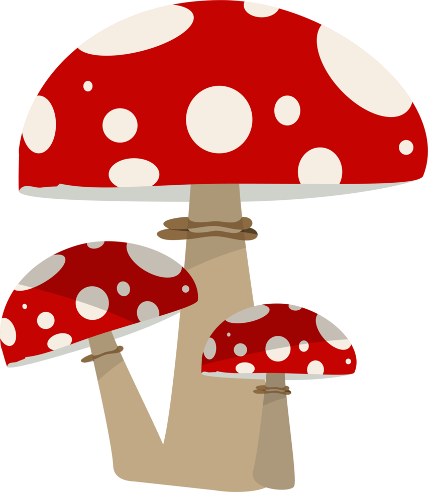 Mushroom clipart design illustration png