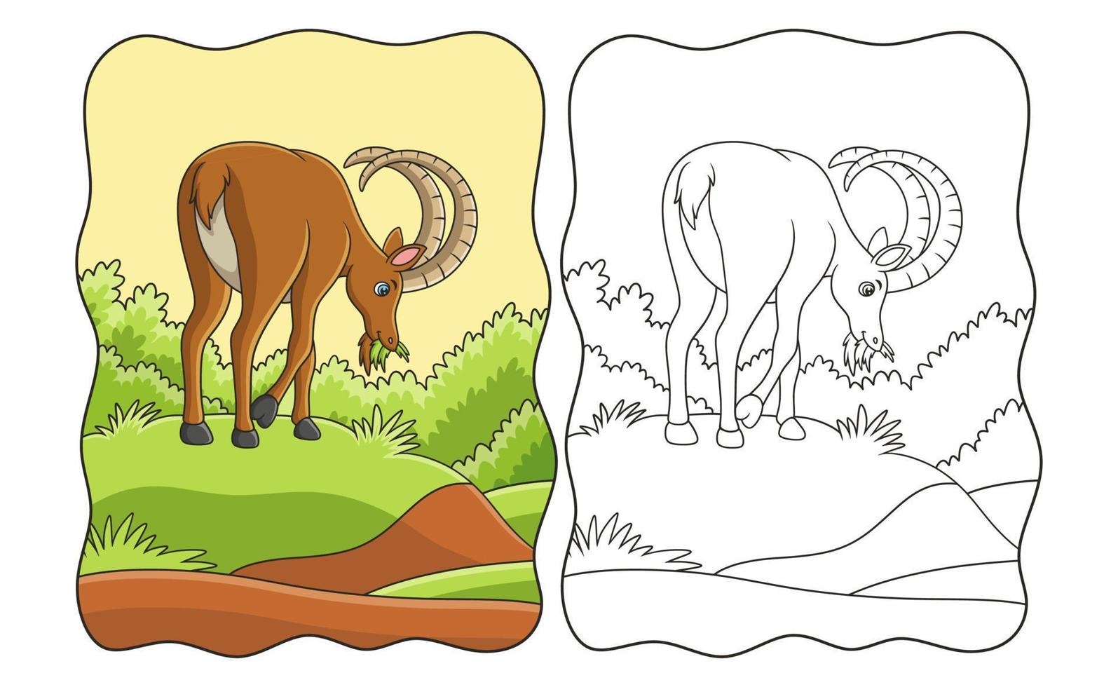 cartoon illustration an ibex walking in the middle of the meadow looking for food in the morning book or page for kids vector