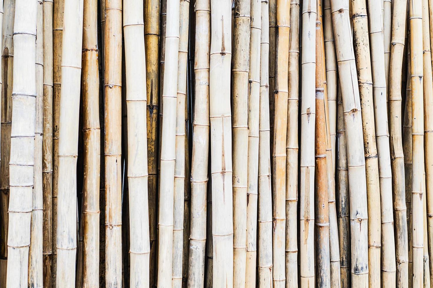fondo de valla de bambú seco foto