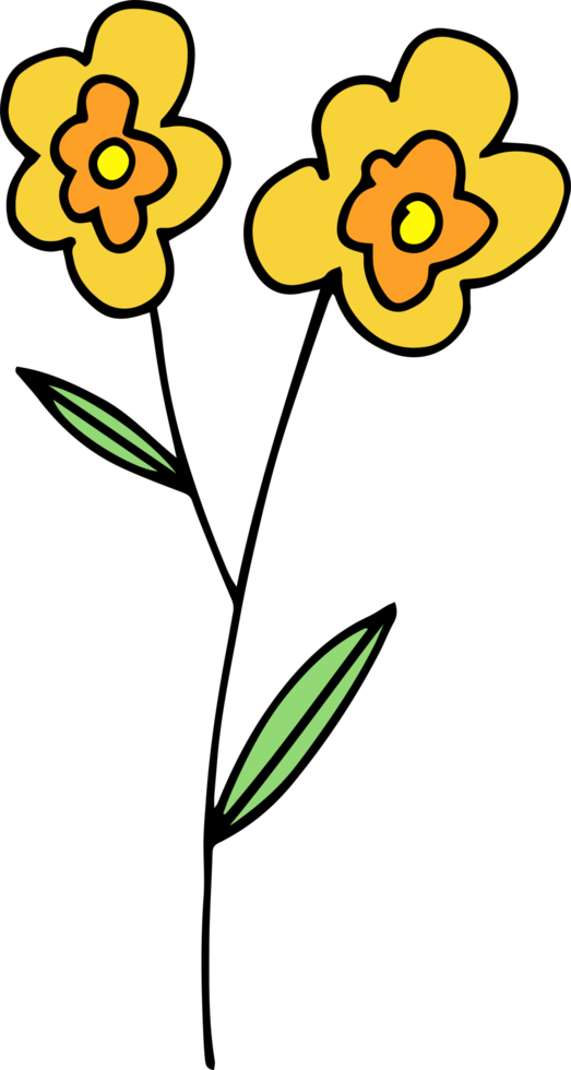 Hand drawn flower clipart design illustration png