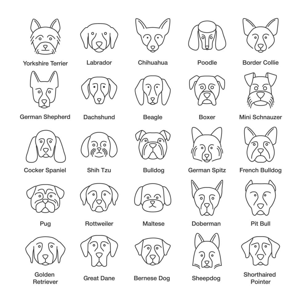 Dogs breeds linear icons set. Guide, guardian, hunting, herding dogs. Thin line contour symbols. Isolated vector outline illustrations