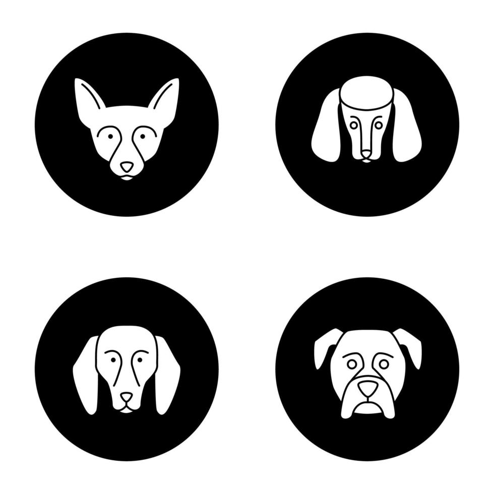 Dogs breeds glyph icons set. Chihuahua, poodle, beagle, boxer. Vector white silhouettes illustrations in black circles