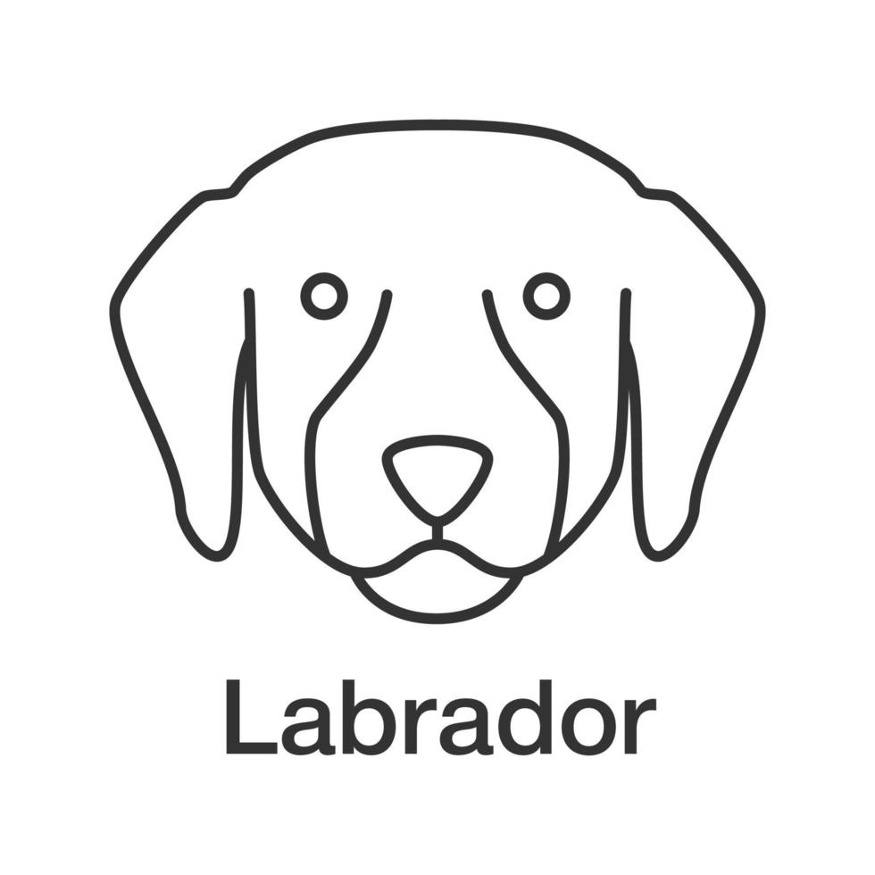 icono lineal del perro perdiguero de labrador. laboratorio. ilustración de línea delgada. raza de perro guía. símbolo de contorno dibujo de contorno aislado vectorial vector
