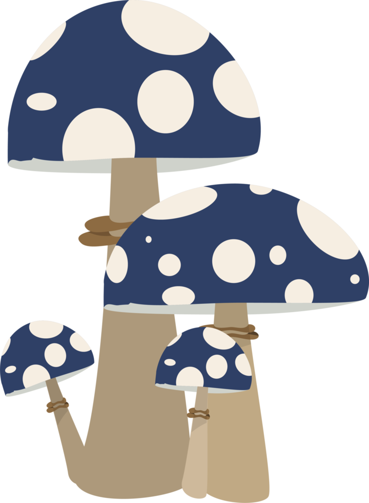 illustrazione di progettazione di clipart di funghi png