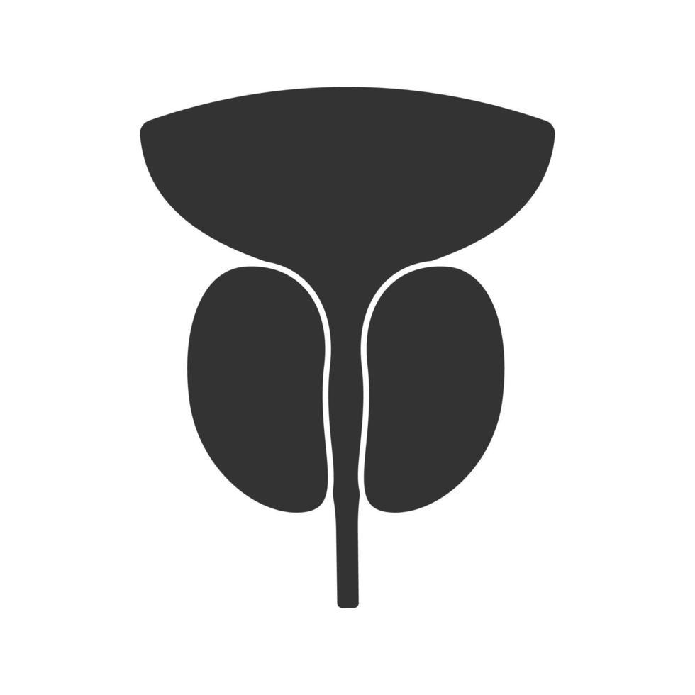 Prostate gland and urethra glyph icon. Male reproductive system organ. Silhouette symbol. Negative space. Vector isolated illustration
