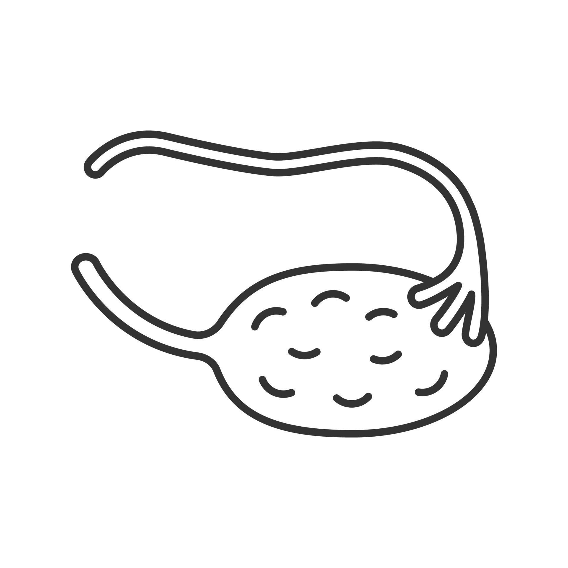 Ovary and fallopian tube linear icon. Thin line illustration. Female