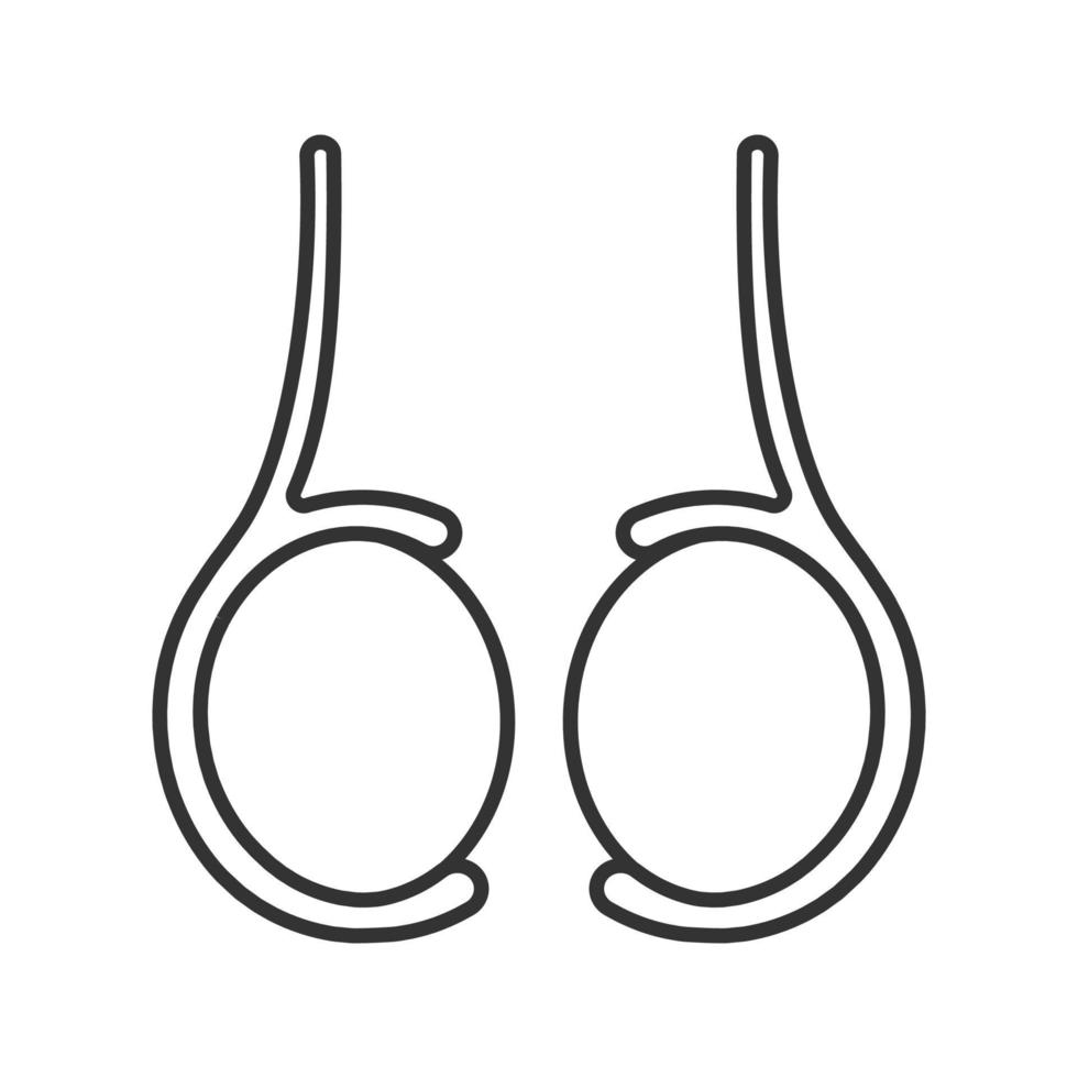 Testicles linear icon. Thin line illustration. Testis. Male reproductive gland. Contour symbol. Vector isolated outline drawing