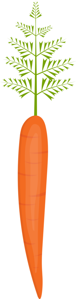 illustrazione di progettazione clipart carota fresca png