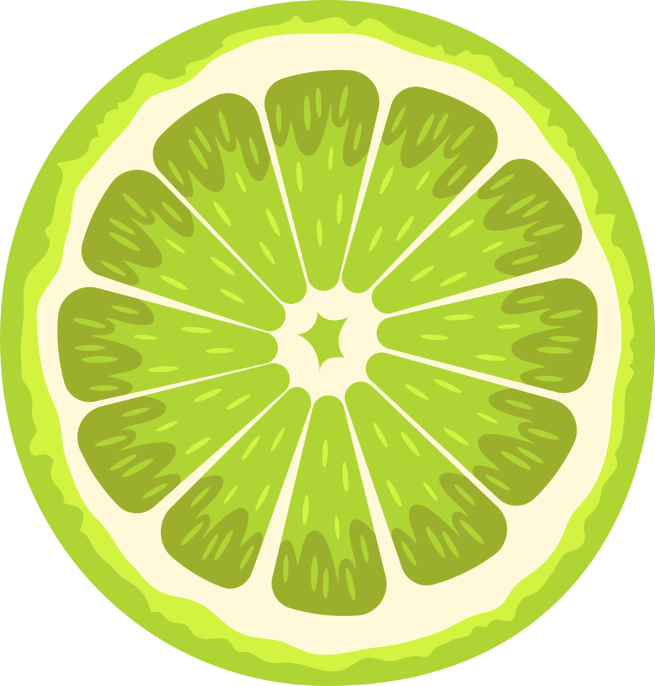citrus clipart design illustration png