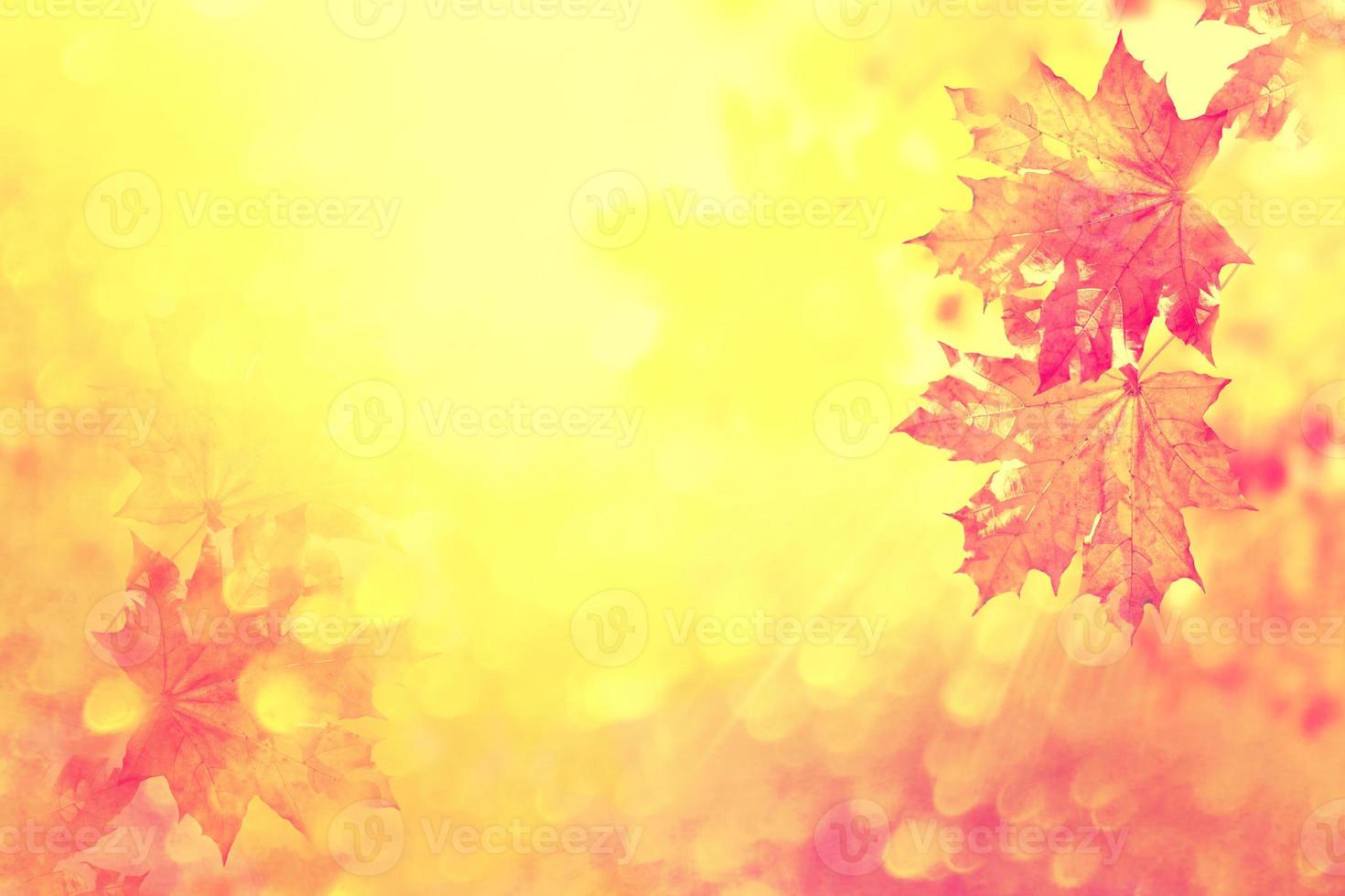 autumn landscape with bright colorful foliage. Indian summer. photo