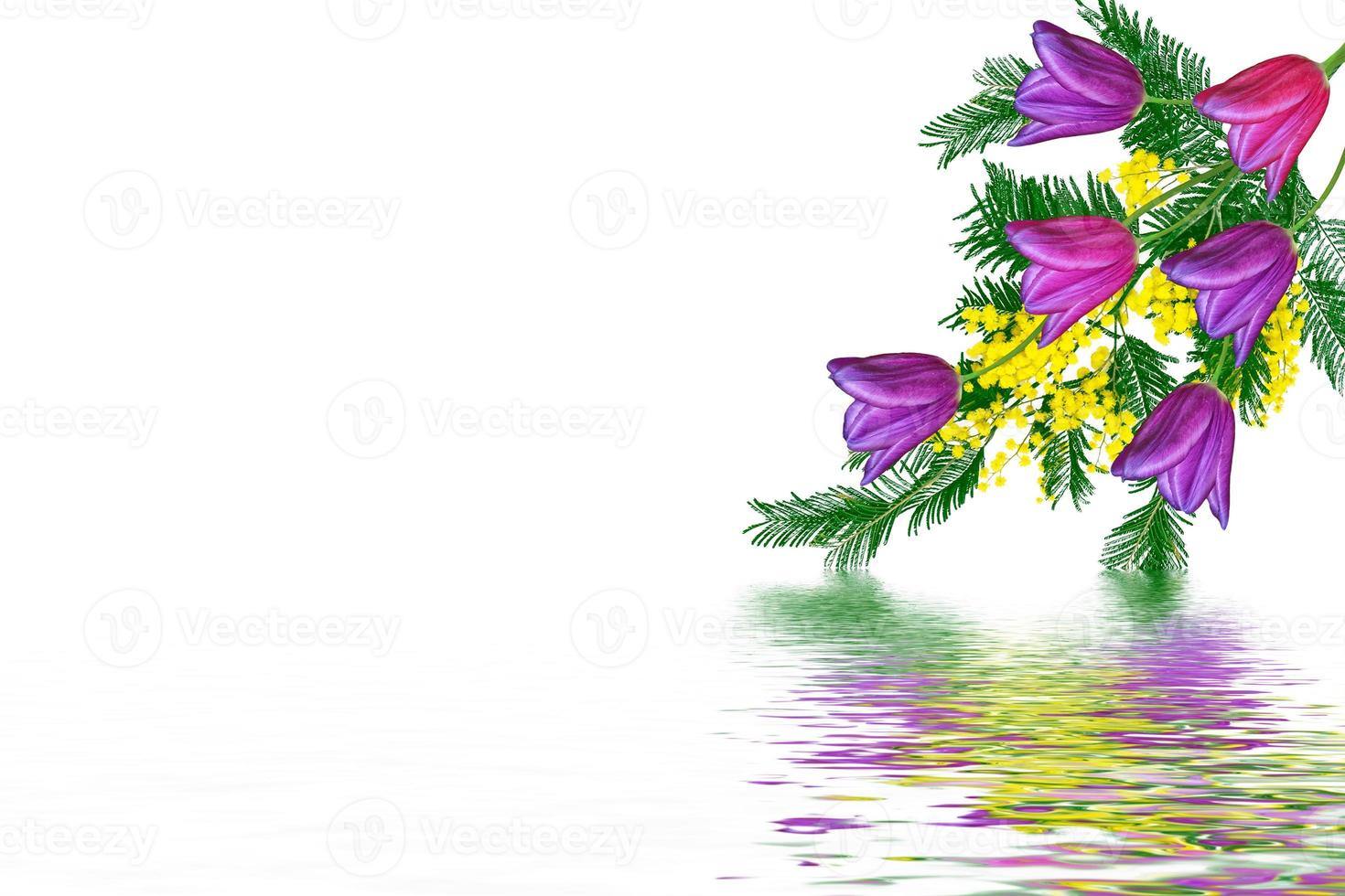 spring flowers tulips photo