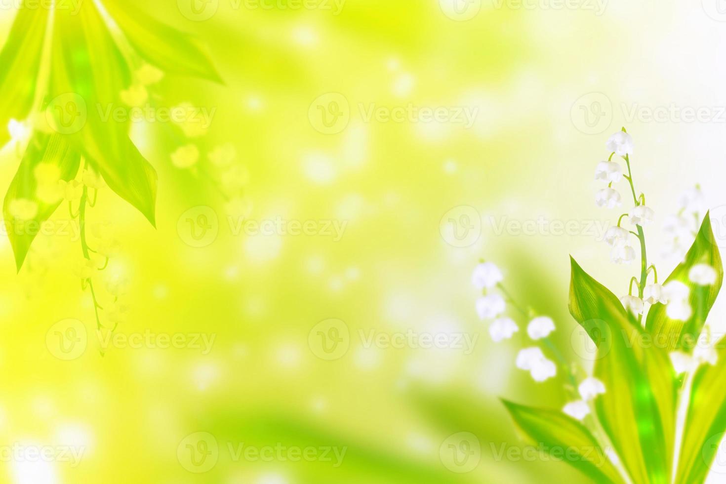 Spring landscape. flowers lily of the valley photo