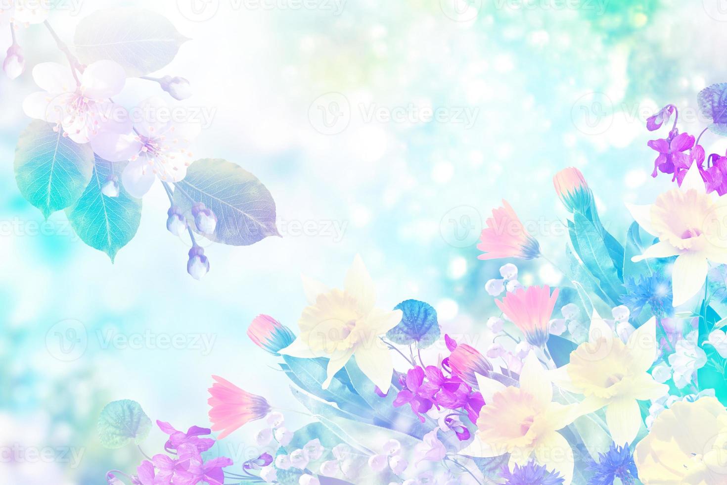 Bright colorful spring flowers photo