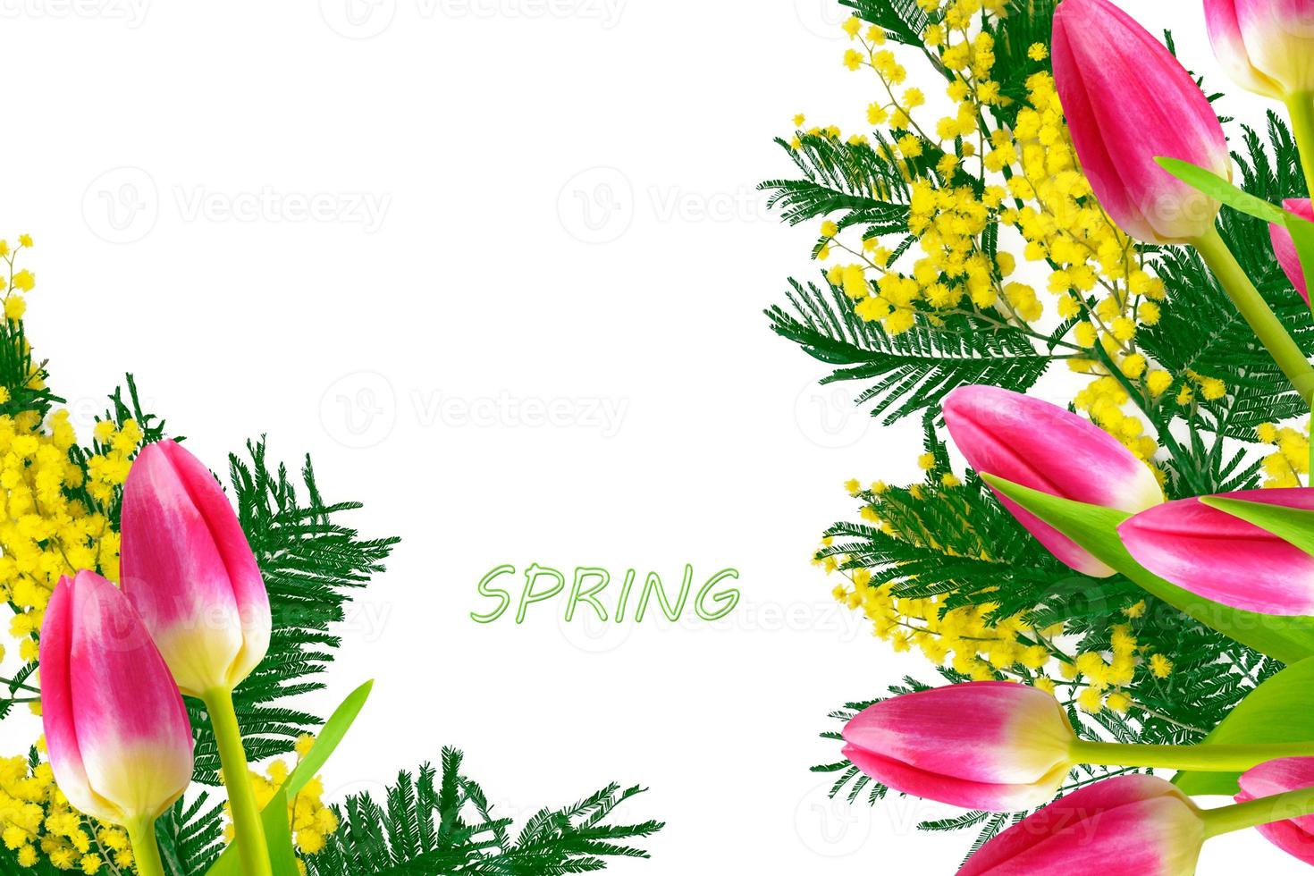 spring colorful flowers tulips. floral collection. photo