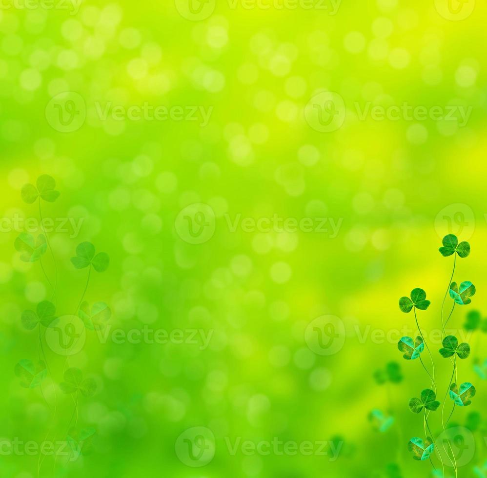 Green clover leaves on a background summer landscape photo