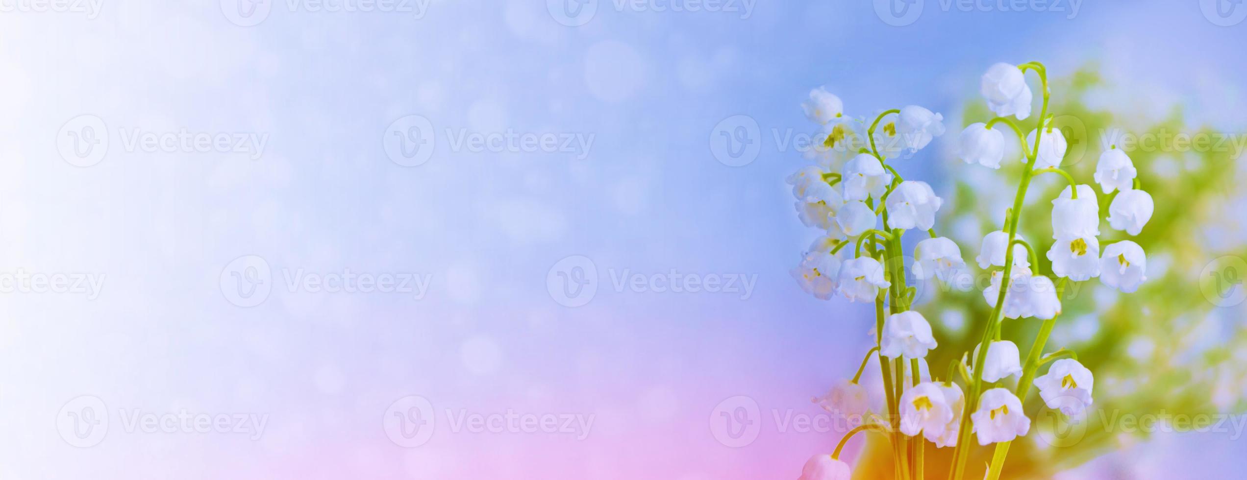 Natural floral background of spring flowers lily of the valley photo
