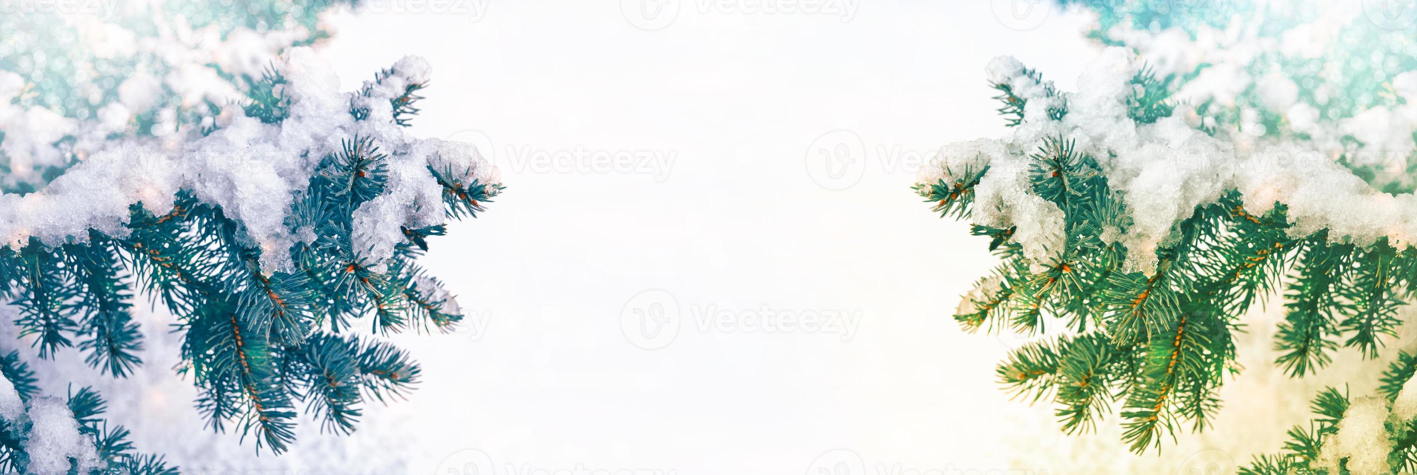 Frozen winter forest with snow covered trees. photo