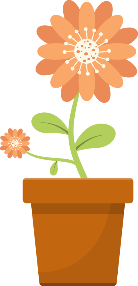 Flower in pot clipart design illustration png