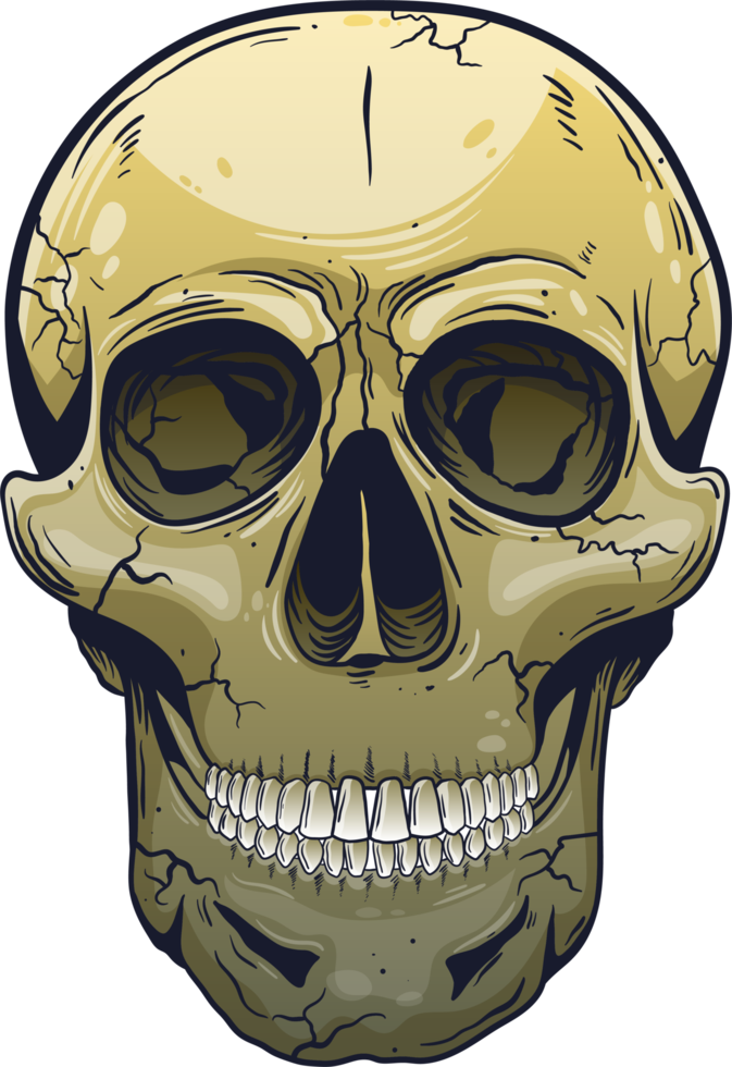 Ilustración de diseño de imágenes prediseñadas de cráneo png