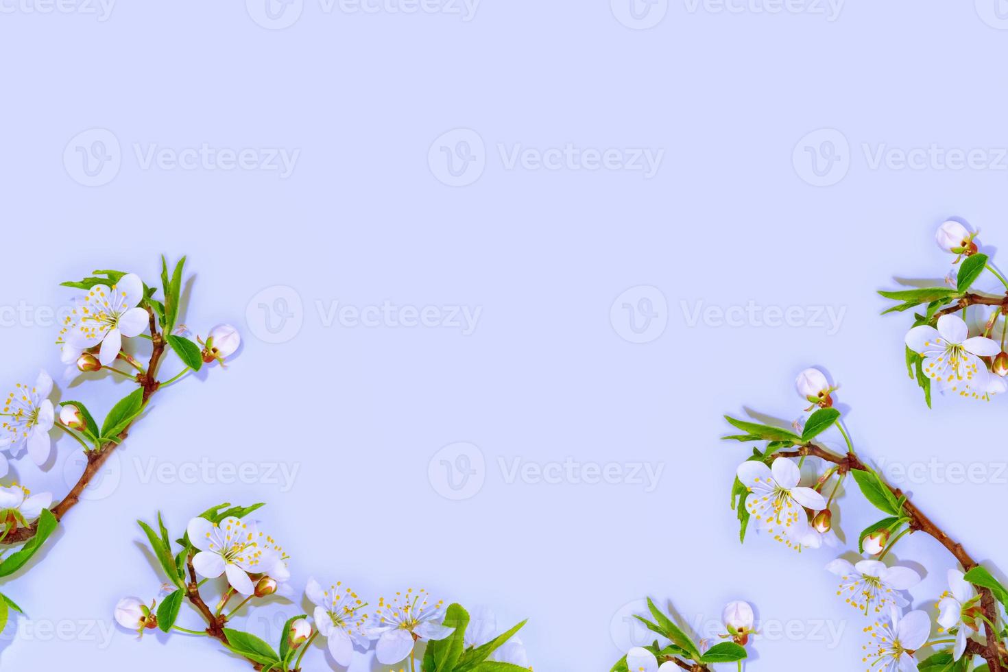 Natural floral background. photo