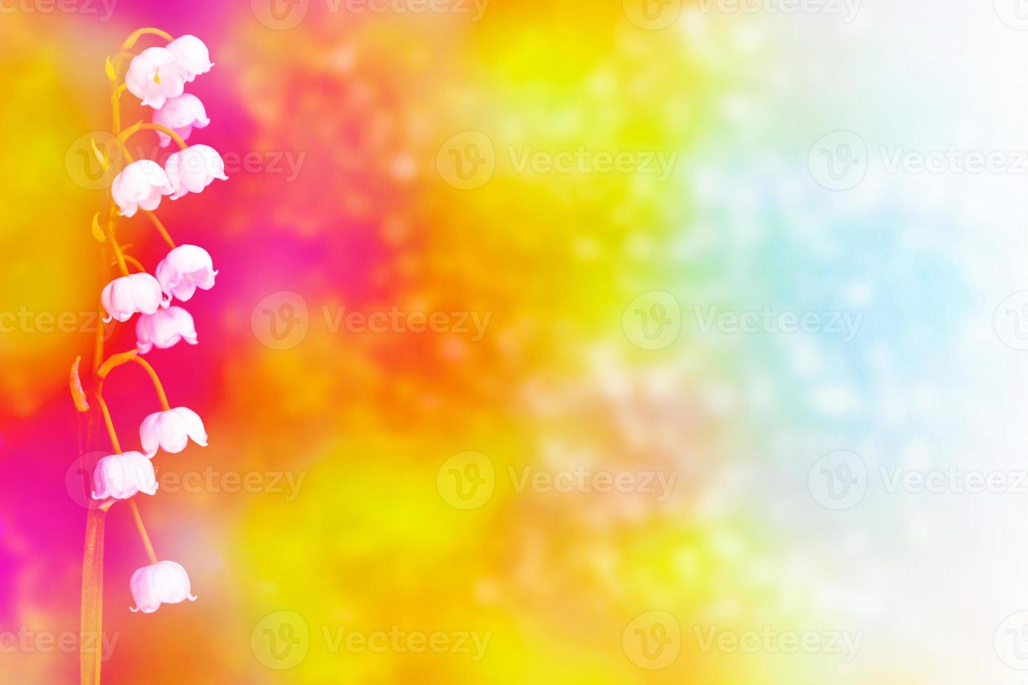 Spring landscape. flowers lily of the valley photo