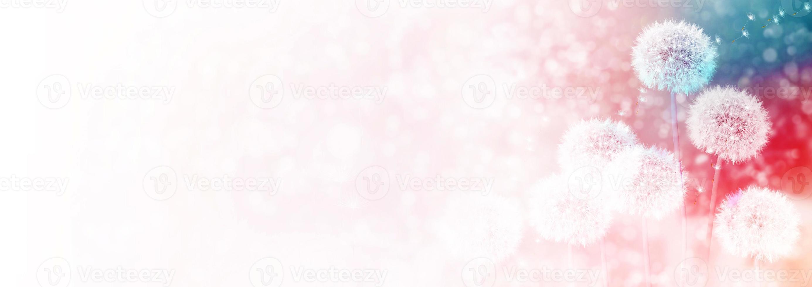 Fluffy dandelion flower against the background of the summer landscape. photo