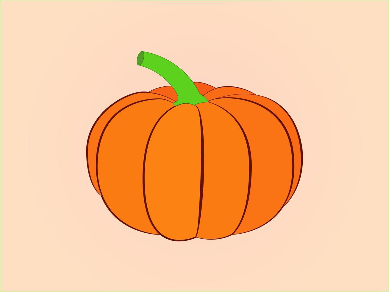 calabaza en fondo simple vector