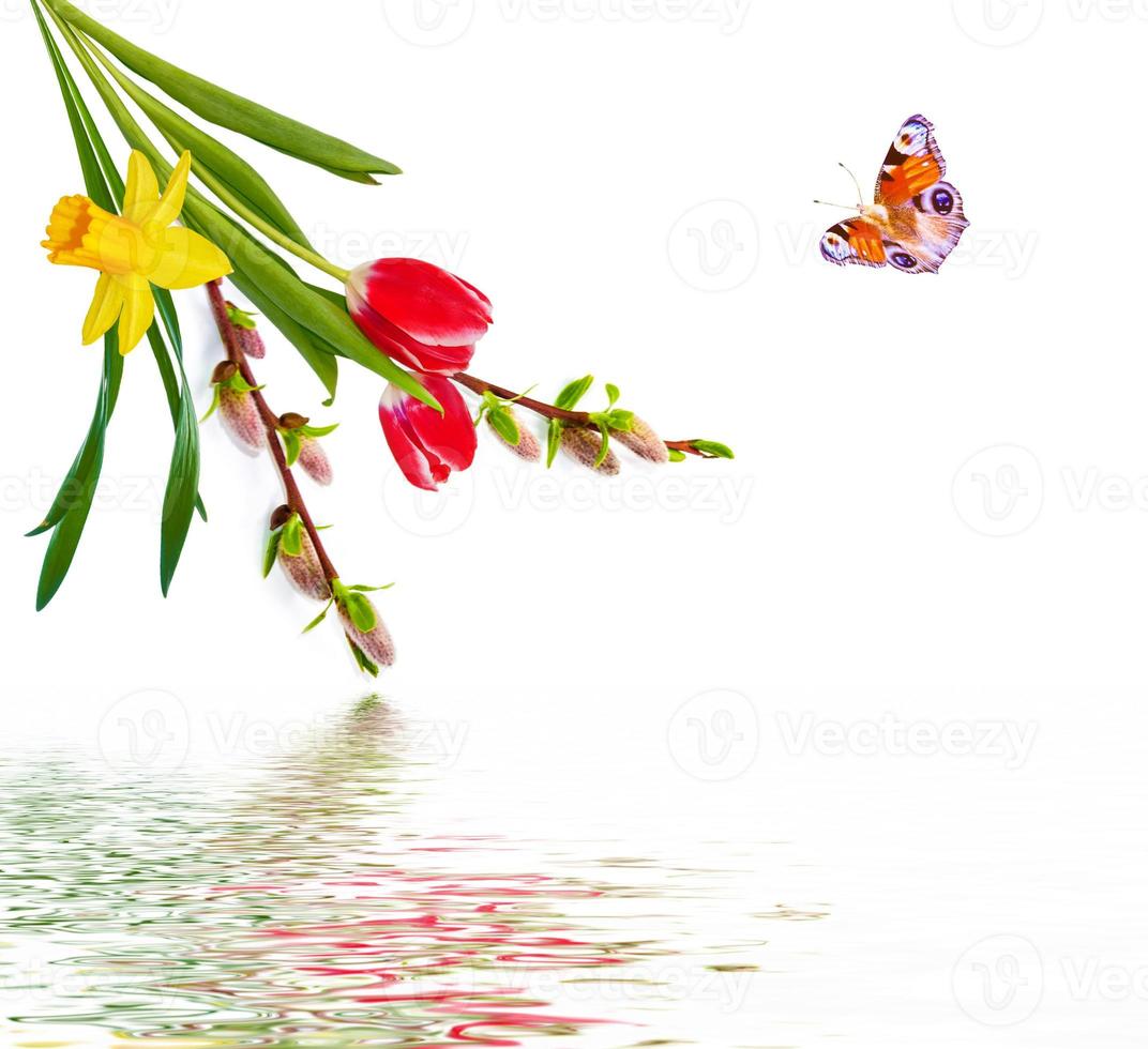 Bouquet of spring flowers photo