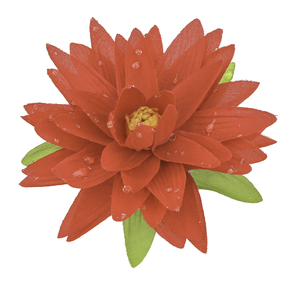 Lotus flower on transparent background png file